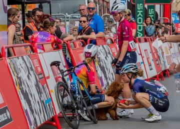 La ciclista neerlandesa de 27 años de Movistar, Floortje Mackaij, estuvo acompañada durante La Vuelta a España por su mascota 'Bella', a la que ha sido habitual ver en la llegada de cada una de las etapas esperando a su dueña. 
