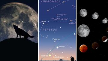 Eventos astronómicos enero 2025 | Fases lunares, Luna llena de Lobo, lluvia de estrellas y conjunciones
