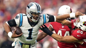 Hist&oacute;ricamente, los Carolina Panthers y los Arizona Cardinals se han enfrentado 19 veces en temporada regular y playoffs, con 14 victorias para los felinos.