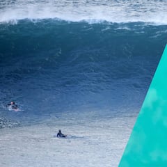 Las mayores olas de la década y un león marino de caza en San Diego