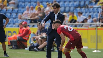 Marcelino, el técnico del Villarreal durante el partido correspondiente a la Jornada 20 de LaLiga que disputan este sábado ante el Villarreal en el Estadio de Gran Canaria. EFE/ Angel Medina G.