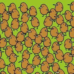 Reto visual: ¿Puedes encontrar los cuatro kiwis entre los pájaros?