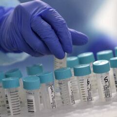 Coronavirus en Chile: resumen de casos, muertes y noticias del 12 de octubre