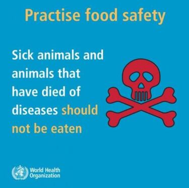 La OMS niega que pueda haber contagio a través de alimentos y sus embalajes