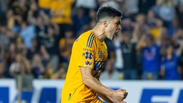 Nicolás Ibáñez festeja un gol con los Tigres.