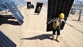 Colocan paneles solares sobre los cultivos y se sorprenden con el resultado: “Un impacto significativo”