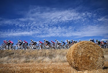 El pelotón durante la etapa.