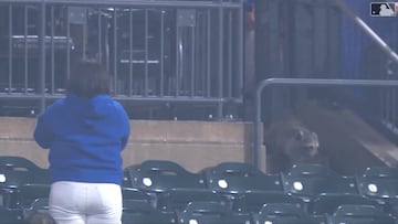 Raccoon invades the stands during wild Mets game scene
