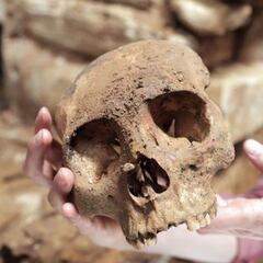 Hallan restos humanos y ofrenda en construcción del Tren Maya; se trata de una cámara funeraria