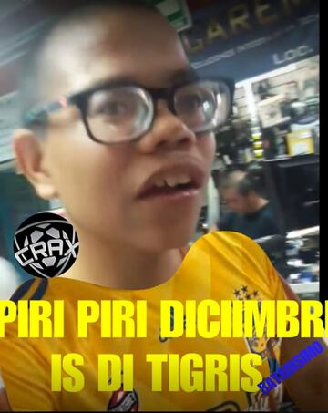 La afición de Tigres sufre por la eliminación y por los memes