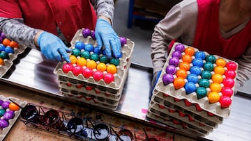 Este 9 de abril se celebra la Pascua. ¿Por qué se esconden huevos en este día? Te compartimos el origen y significado de esta tradición.