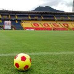 Distrito trabaja en recuperar la gramilla de El Campín