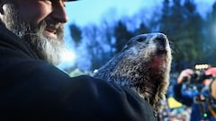 Across North America groundhogs are disturbed from the winter slumber on 2 February to divine when spring will come. But where does the tradition come from?