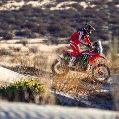 Schareina llega líder al asalto final