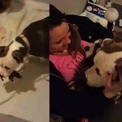 Una perra da sus cachorros a la mujer que la rescató