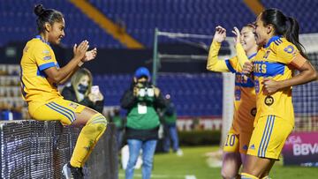 En Tigres no se conf&iacute;an del Quer&eacute;taro en semifinales