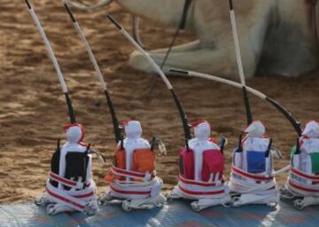 Se celebr車 en Dubai la Al Marmoom Heritage Festival, un acontecimiento que promueve el deporte tradicional de la carrera de camellos en la regi車n. Los participantes lo hacen a trav谷s de un jinete rob車tico con control remoto.