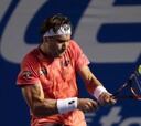 Ferrer se cita en las semifinales de Acapulco con Ryan Harrison