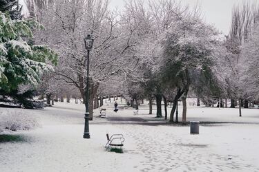 Un parque cubierto de nieve en Vitoria-Gasteiz, Álava, País Vasco (España). La ciudad de Vitoria ha amanecido cubierto de un manto blanco de nieve después de que bajara la cota de nieve a los 200 metros.  