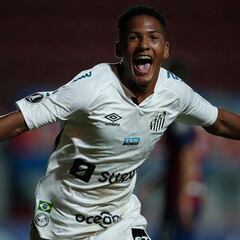 El Newcastle pregunta al Santos por Angelo