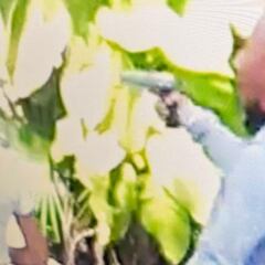 Balacera en Xcaret: un muerto y dos lesionados deja un ataque con arma de fuego