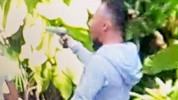Balacera en Xcaret: un muerto y dos lesionados deja un ataque con arma de fuego