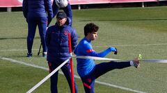 Simeone y João Félix