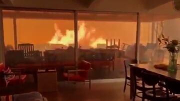 Palisades massive wildfire traps two men and a dog in horrifying scene inside their home