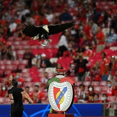 La derrota del Barcelona ante el Benfica en imágenes