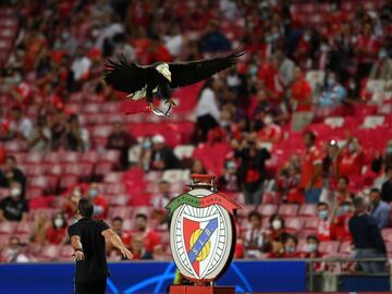El águila Vitória, la mascota del Benfica.