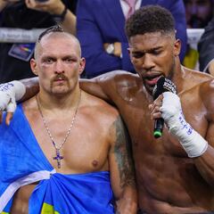 What did Anthony Joshua and Oleksandr Usyk say after their world title rematch?