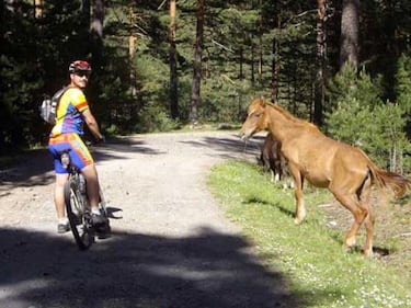 ¿Un cordero o un cabrón?