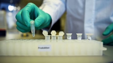 FILE PHOTO: An employee of German biopharmaceutical company CureVac, demonstrates research workflow on a vaccine for the coronavirus (COVID-19) disease at a laboratory in Tuebingen, Germany, March 12, 2020. REUTERS/Andreas Gebert/File Photo