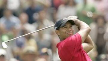 El gigante Tiger venció al minúsculo Mediate