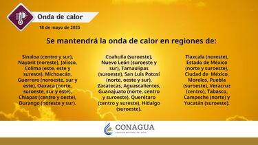 Ola de Calor amenaza con temperaturas de hasta 45°C en estos 21 estados ¡Cuídate!