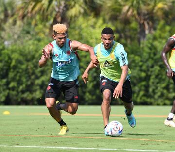 La Selección Colombia tuvo su segunda práctica en la sede deportiva del Inter de Miami. Los dirigidos por Néstor Lorenzo continúan la preparación para el juego ante Paraguay.