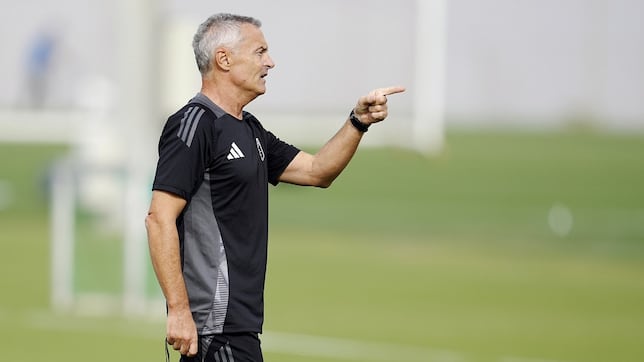 El bisturí de Escribá para rescatar al Granada del caos