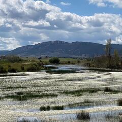 El Robledo, el pueblo de Ciudad Real que opta a capital de turismo rural