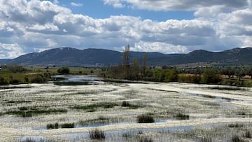 El Robledo