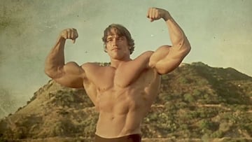 Arnold Schwarzenegger.