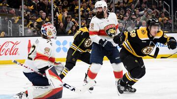 Boston Bruins left wing Tyler Bertuzzi (59) reacts after scoring a goal past Florida Panthers goaltender Sergei Bobrovsky (72)