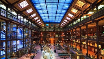 Hacen el robo del siglo en el museo y se enteran de la ausencia del oro gracias a los empleados de la limpieza