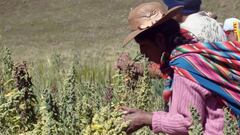 Coronavirus en Perú: resumen y casos del 8 de julio