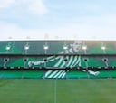 Propuesta de 50.000 de multa al Betis por promocionar y alentar a grupos ultras