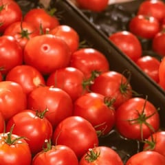 Qué es el dumping que se aplica al jitomate mexicano: ¿es un arancel o cuota compensatoria?