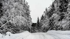 Suecia sigue adelante, pero con recorrido acortado