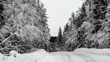 La nieve salva el Rally de Suecia