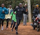 Kipchoge: "Hay más dolor al entrenar que en la maratón"