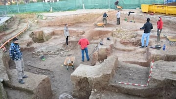 Animal remains discovered by archaeologists who stumble upon a bone that could date back to Hannibal’s war against Rome