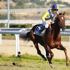 'Arab Poet', el predilecto para ganar el GP de la milla sevillana